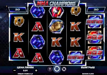 MMA Champions